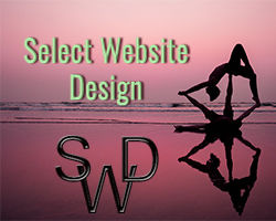 Website design, Blogging, Website hosting, SEO, forum hosting